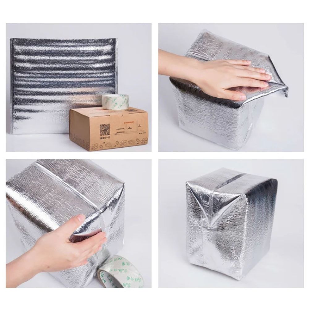 Bolsa enfriadora de papel de a - Food Snacks Delivery reseña y precio