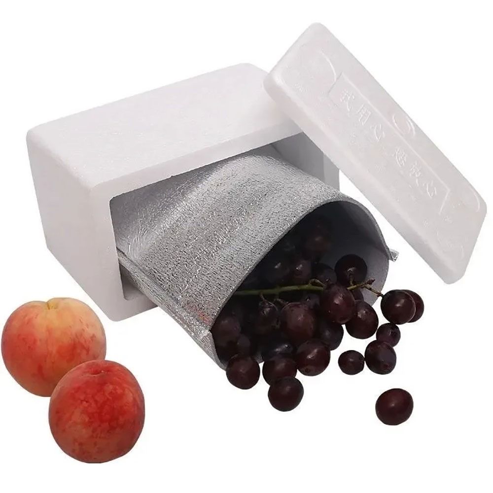 Bolsa enfriadora de papel de a - Food Snacks Delivery reseña y precio